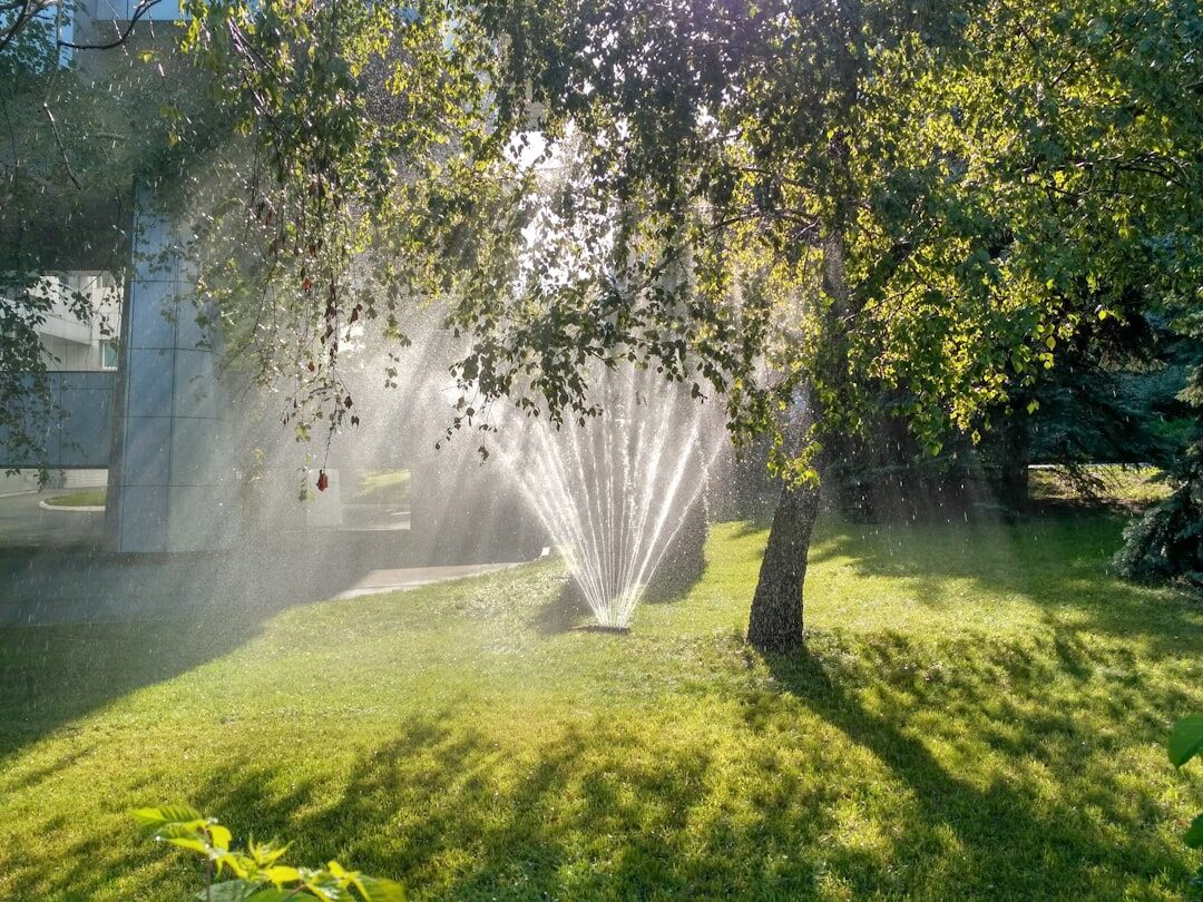 lawn watering in summer