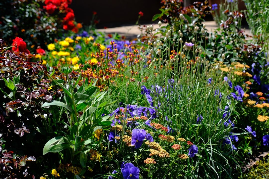companion planting in garden