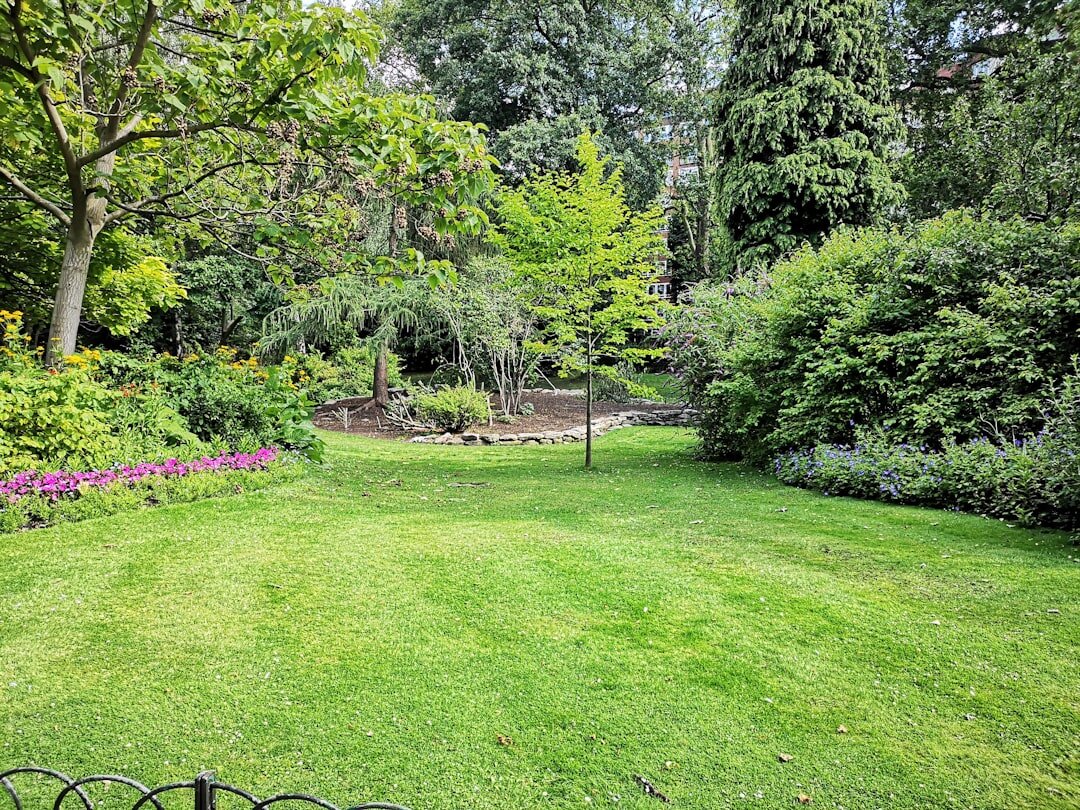 healthy garden after treatment