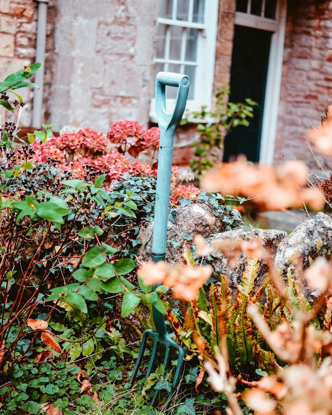 autumn garden planting