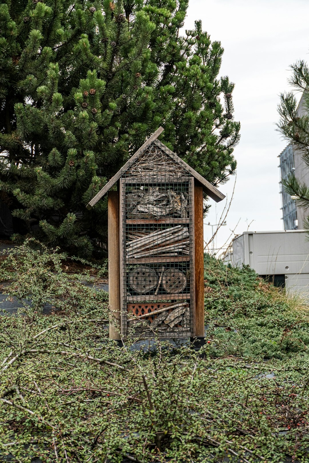bee hotel in garden