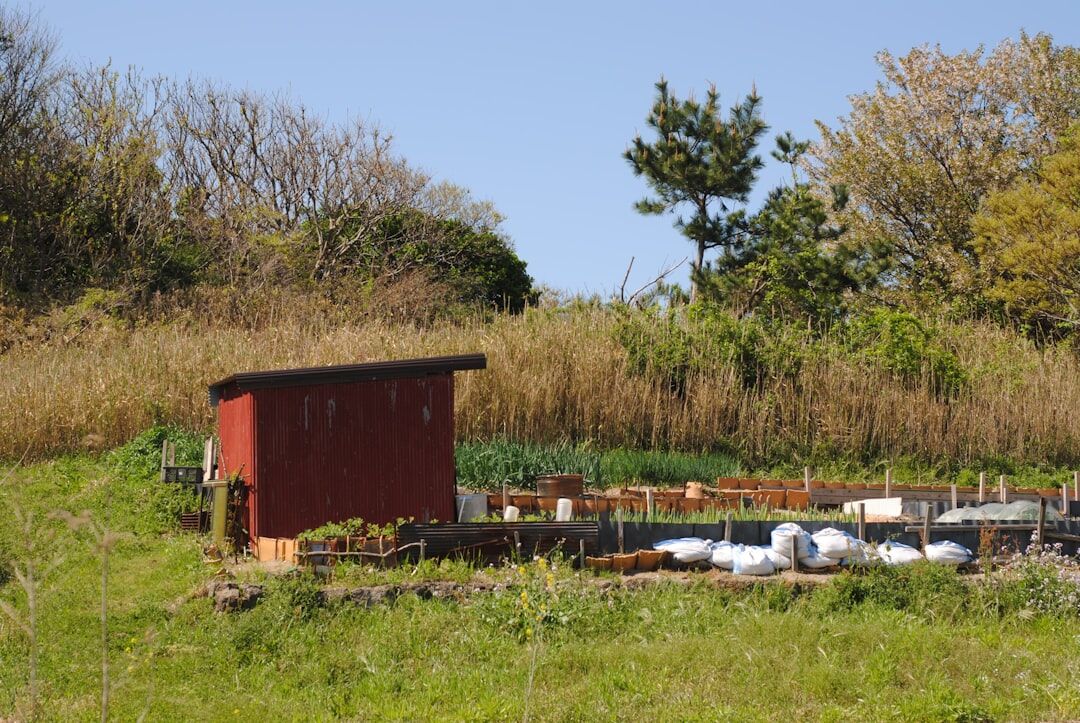 Raised vegetable garden beds with tomatoes and cabbage in a Czech garden