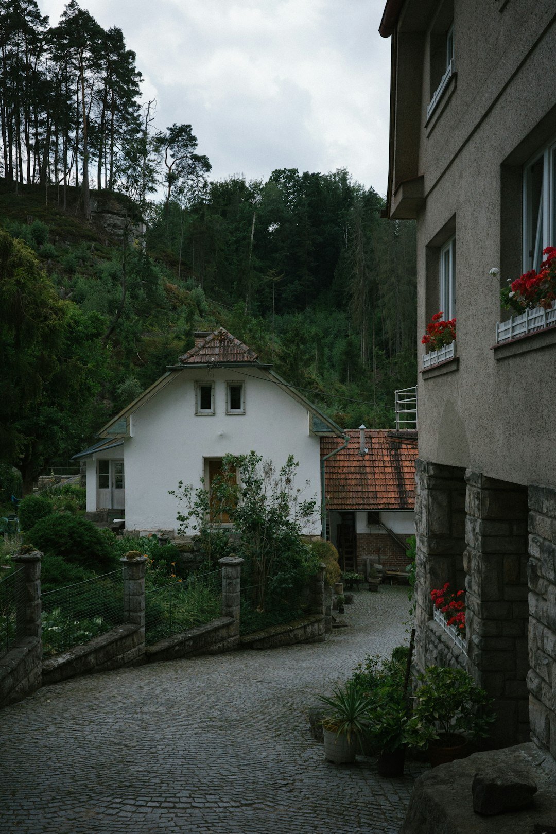 Czech cottage with a blooming garden in the countryside